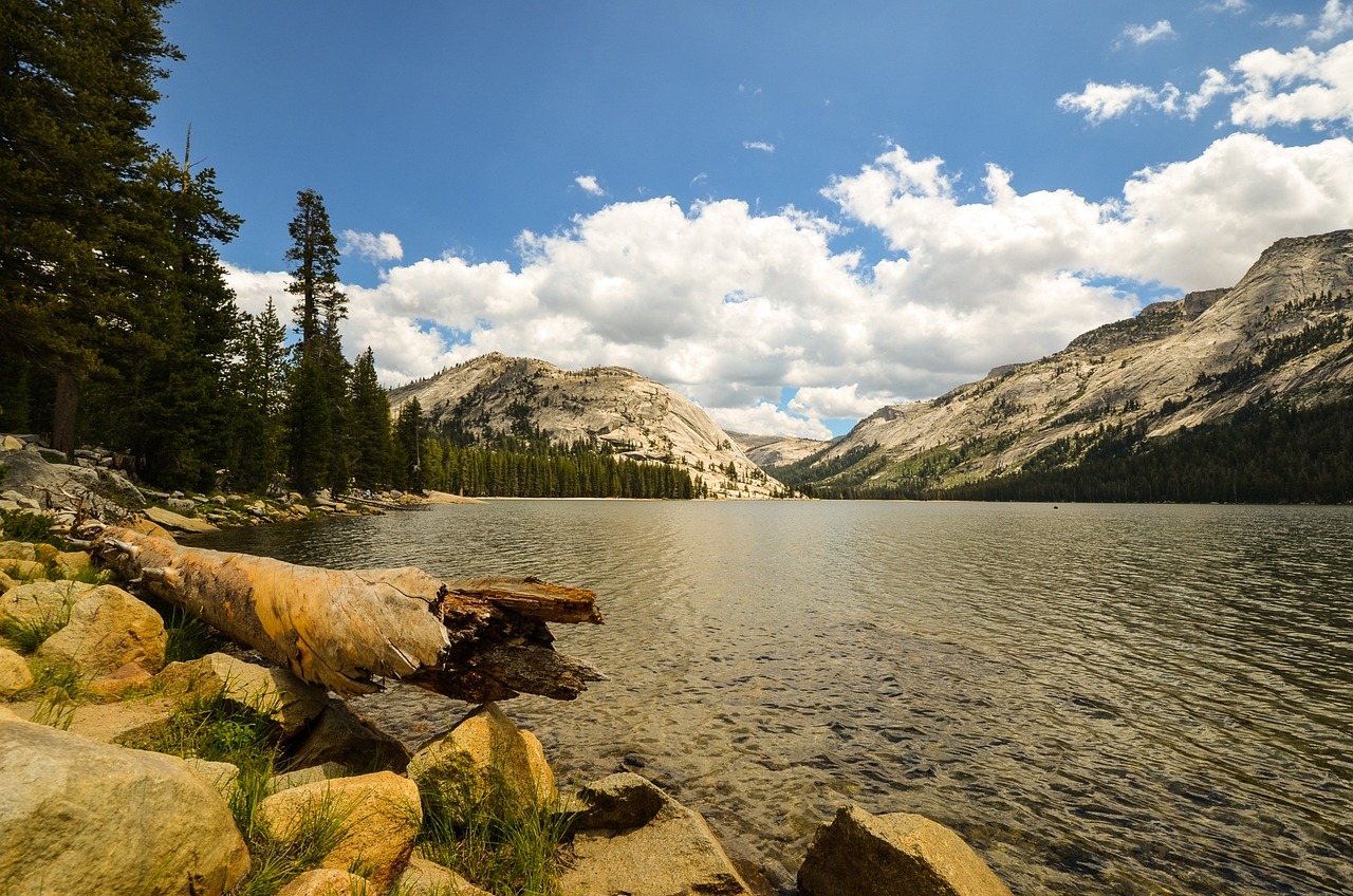 Sustainable Practices for Visiting the United States’ Yosemite